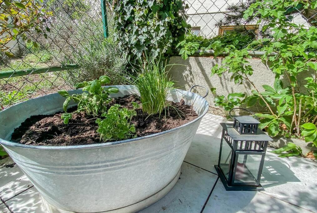 Stylisches Apartment Mit Terrasse In Der Altstadt Von Donauwoerth Ngoại thất bức ảnh